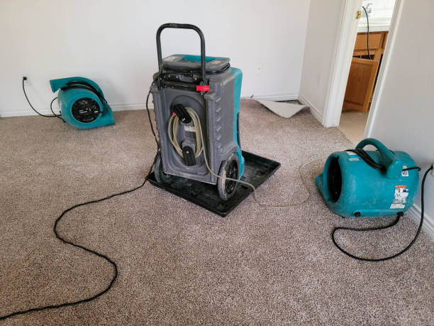 Best Carpet water damage restoration  in Berly, MO