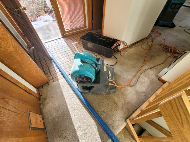 Best 24-hour water damage restoration  in Berly, MO