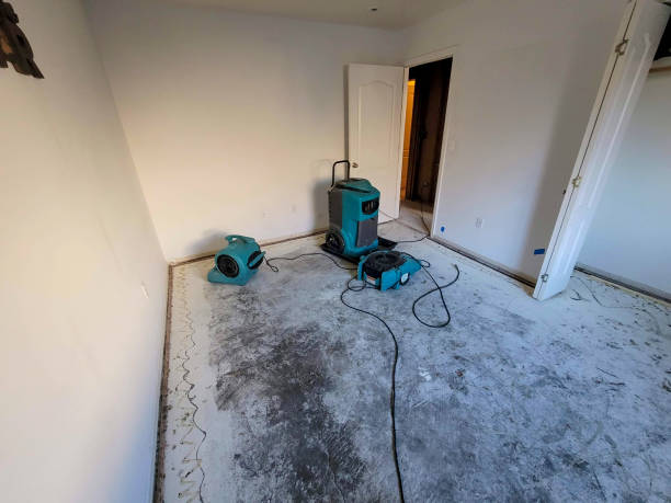 Professional Water damage restoration in MO