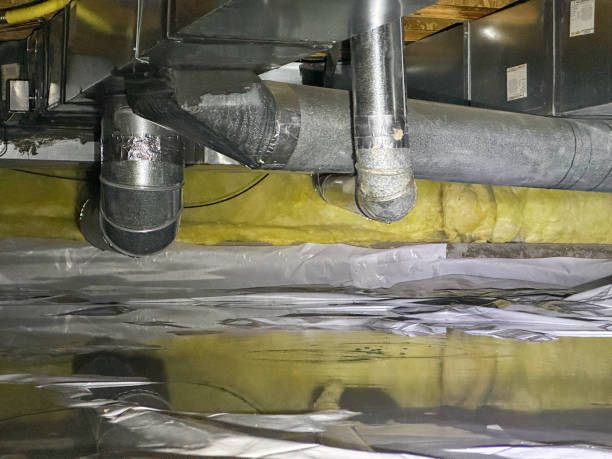 Best Flood damage cleanup  in Berly, MO