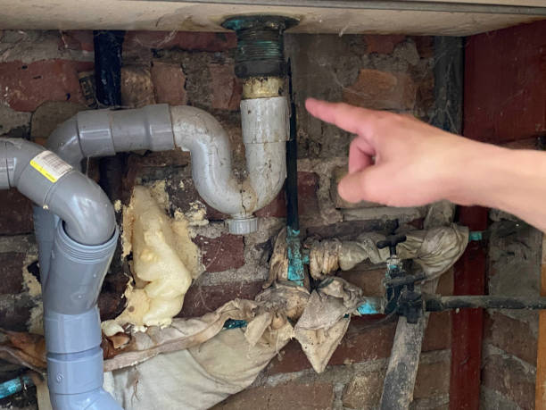 Best Water damage restoration company  in Berly, MO