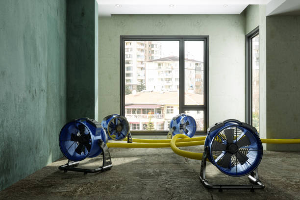 Best Water damage cleanup near me  in Berly, MO